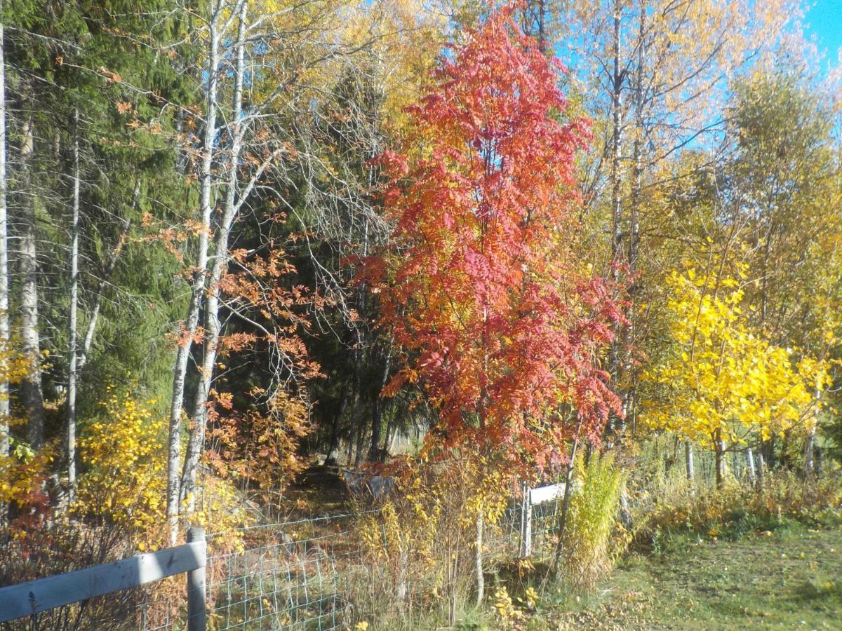 Lovelund Farm. Cottage Hagfors Luaran gambar